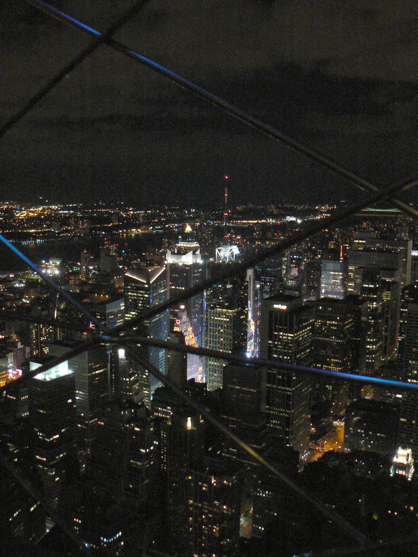 Vu de l Empire State Building: Paramount Building et The Worldwide Plaza  vu de l Empire State Bulding 2